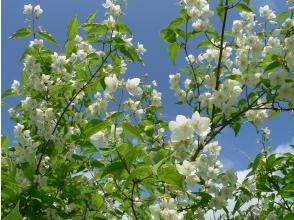 プランの魅力  の画像