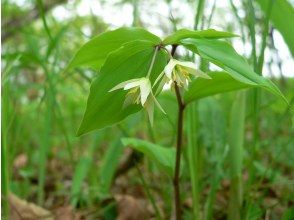 プランの魅力  の画像