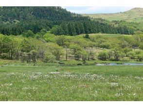 プランの魅力  の画像