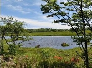 プランの魅力  の画像