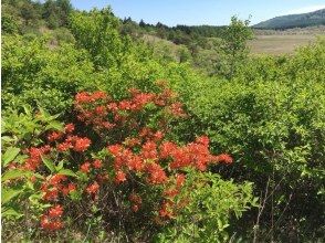 プランの魅力  の画像