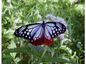 プランの魅力  の画像