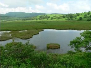 プランの魅力  の画像