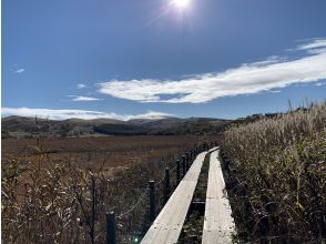 プランの魅力 木道中心のコース の画像