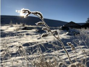 プランの魅力 冬の光 の画像