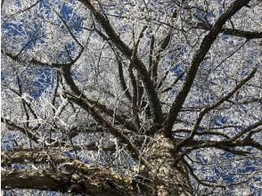 プランの魅力 霧氷（むひょう） の画像