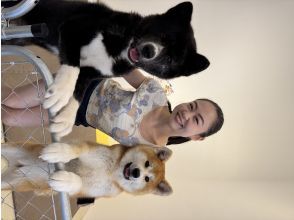 プランの魅力 虎毛もいます(*^^*) の画像