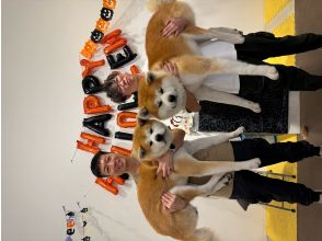 プランの魅力 力自慢集まれ！！ の画像