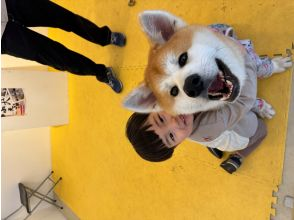 プランの魅力 お子様もふれあい可(*^^*) の画像