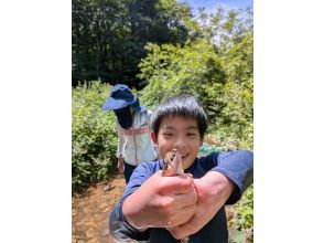 プランの魅力 生きた魚を自分で捕まえる の画像