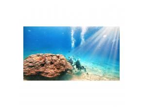 プランの魅力  の画像