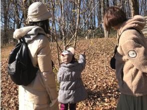 プランの魅力 冬ならではの自然 の画像