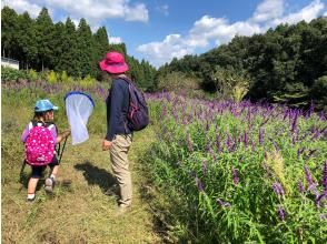 プランの魅力 豊かな里山の自然、安全な散策路 の画像