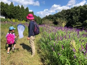 プランの魅力 豊かな里山の自然、安全な散策路 の画像