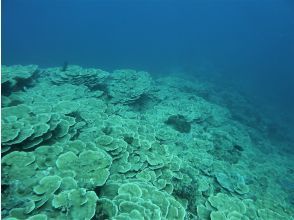 プランの魅力 沖合には の画像