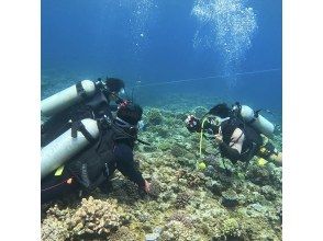 プランの魅力 写真・動画撮影付き の画像