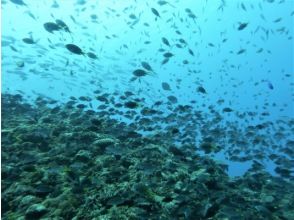 プランの魅力 名城（なしろ)パラダイス の画像