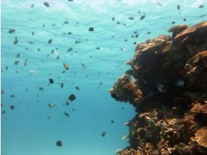 プランの魅力 西崎・岡波島 の画像