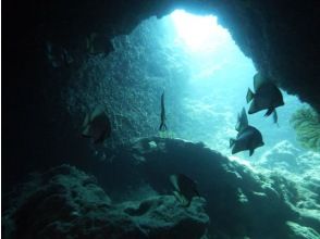 プランの魅力 トコマサリ礁 の画像