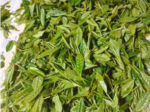 プランの魅力 一番茶　茶葉 の画像