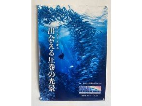 プランの魅力 NAUI正規登録店 の画像