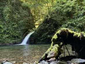 プランの魅力 辿り着いた滝で癒しの自由時間！ の画像