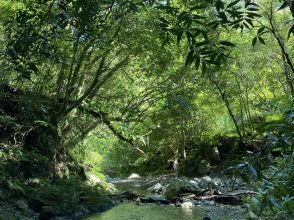 プランの魅力 道のりも景色を堪能して楽しめる！ の画像