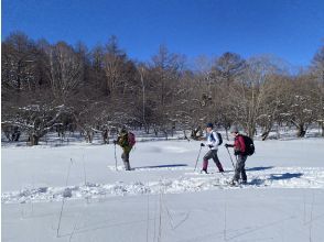 プランの魅力 平地歩き の画像