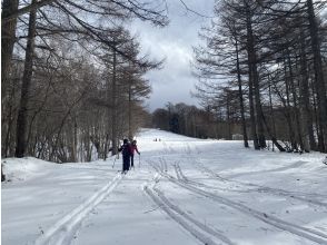 プランの魅力 緩斜面の下り の画像