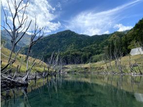 プランの魅力  の画像
