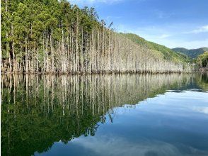 プランの魅力  の画像