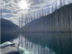 プランの魅力  の画像