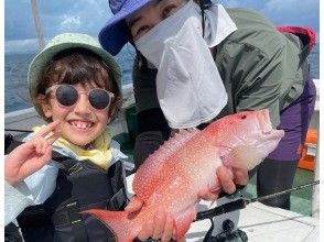 プランの魅力  の画像