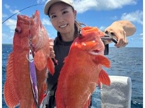 プランの魅力  の画像