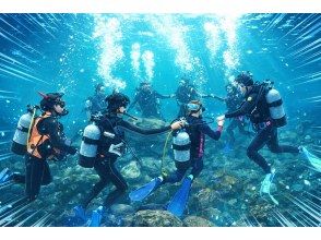 プランの魅力 水中ゲーム の画像