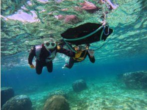 プランの魅力 泳げなくても大丈夫 の画像