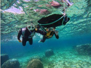 プランの魅力 泳げなくても大丈夫 の画像