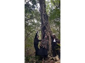 プランの魅力 完全貸し切りなのでプライベートで奄美の島旅を楽しめます！ の画像