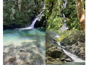 プランの魅力 数ある秘境の滝からご希望に合わせた滝をご案内！ の画像