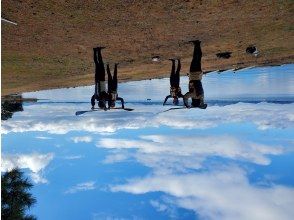 プランの魅力 陸上レッスン込み の画像