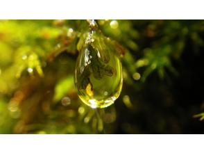 プランの魅力  の画像