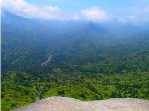 プランの魅力  の画像