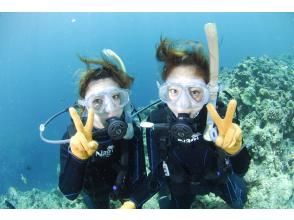 プランの魅力 水中写真プレゼント！ の画像