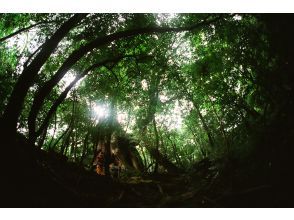 プランの魅力  の画像