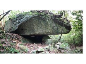 プランの魅力  の画像