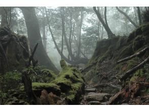 プランの魅力  の画像