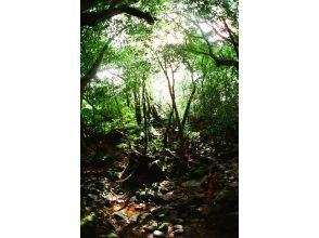 プランの魅力  の画像