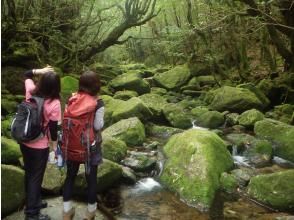 プランの魅力  の画像