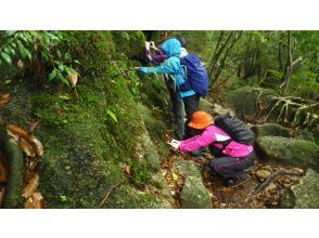 プランの魅力  の画像