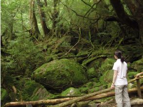 プランの魅力  の画像